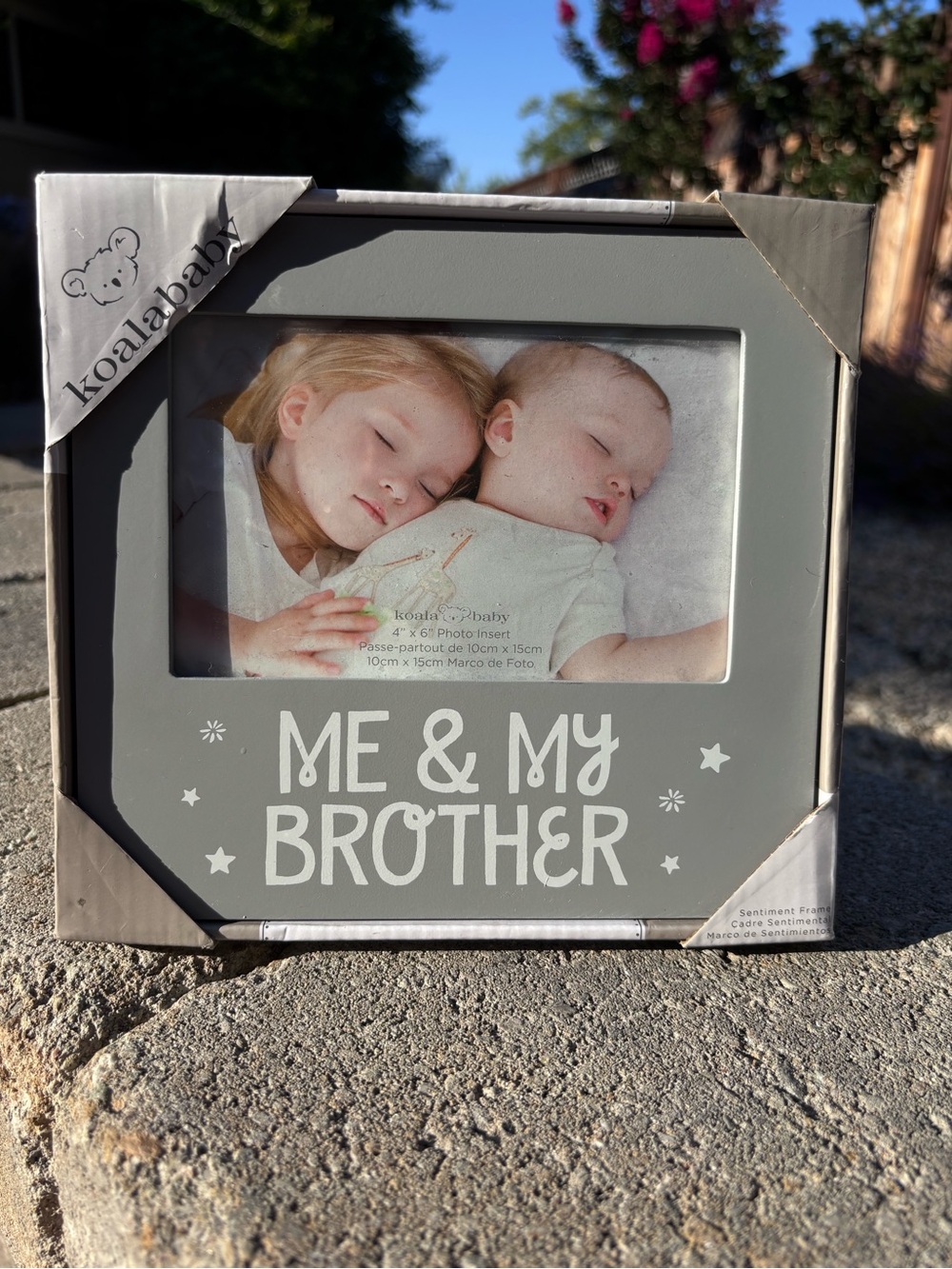 Koala Kids Gray 'Me & My Brother' Picture Frame